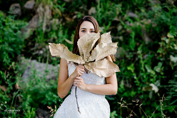 trash the dress