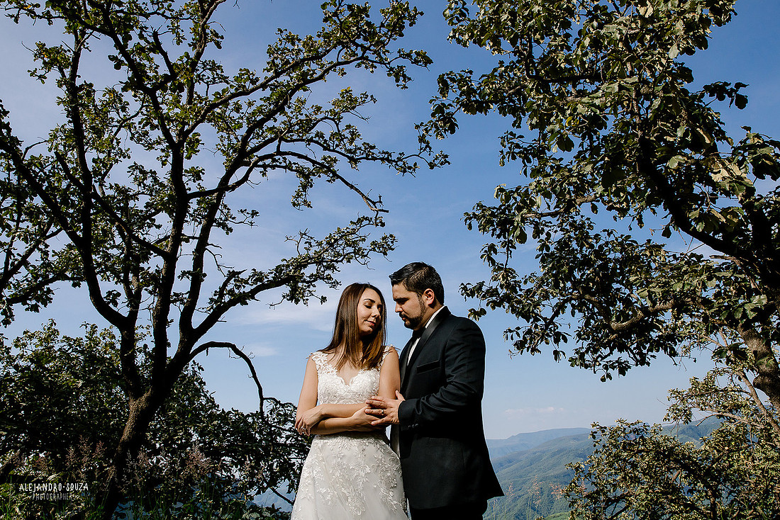 trash the dress