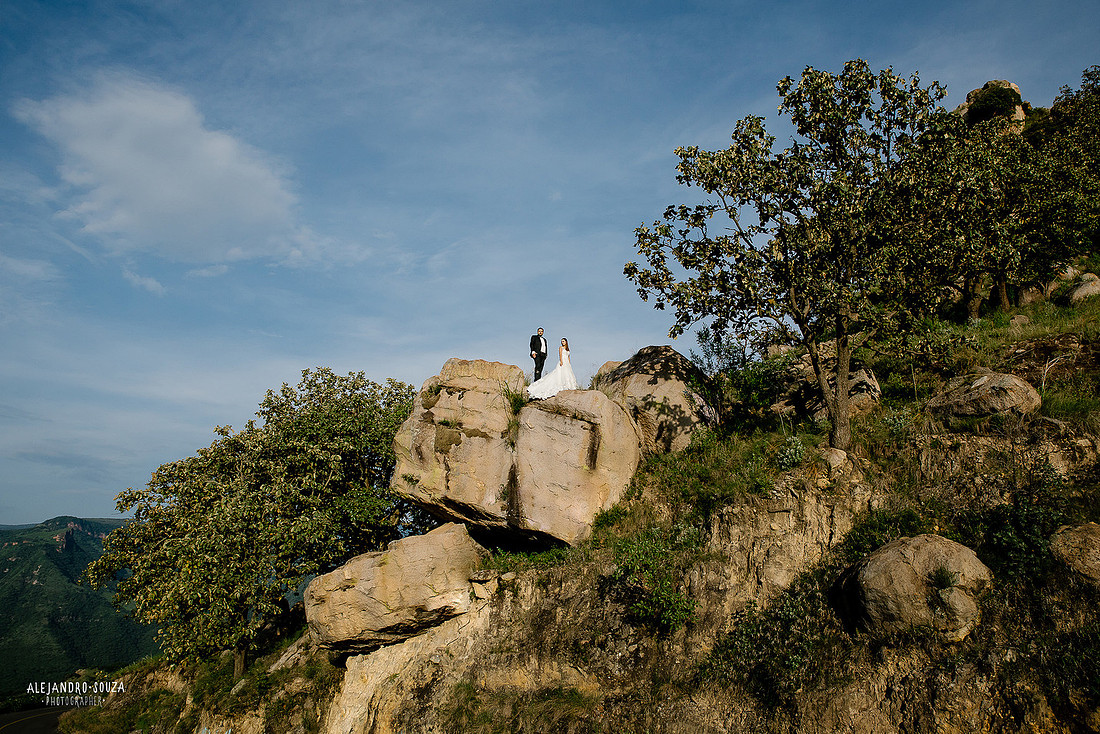 trash the dress