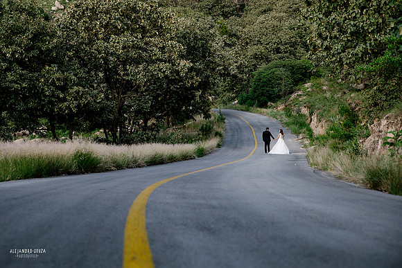 trash the dress