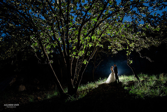 trash the dress