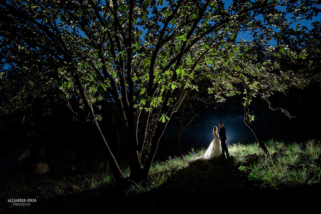 trash the dress