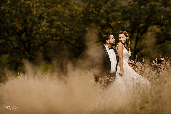trash the dress