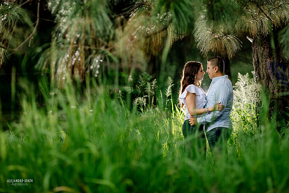 parque eca do queiros