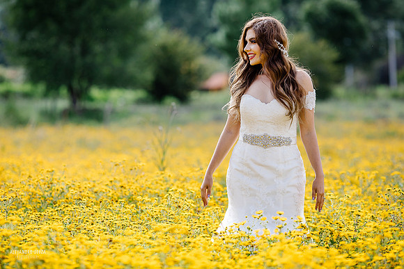 trash the dress