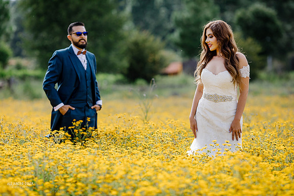 trash the dress