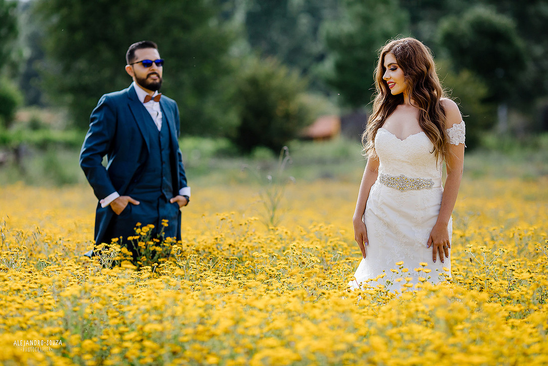 trash the dress