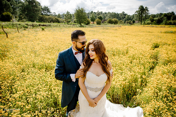 trash the dress