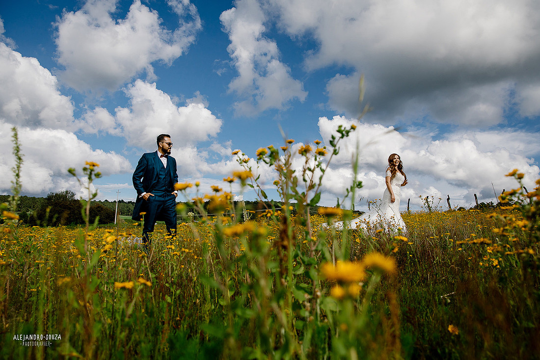 trash the dress