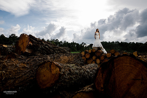 trash the dress