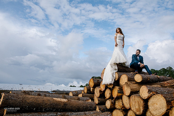 trash the dress
