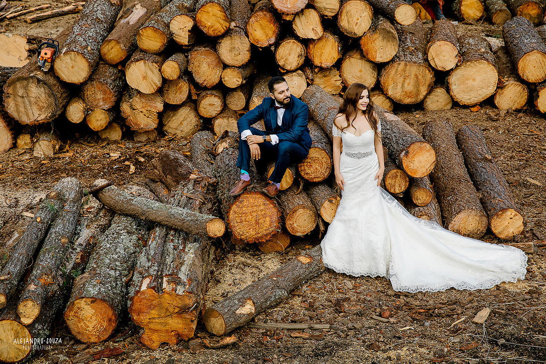 trash the dress