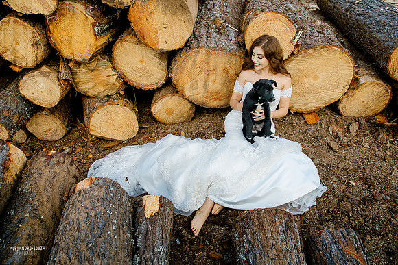 trash the dress