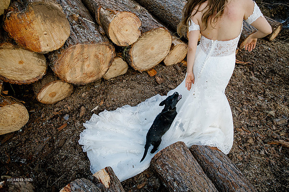 trash the dress