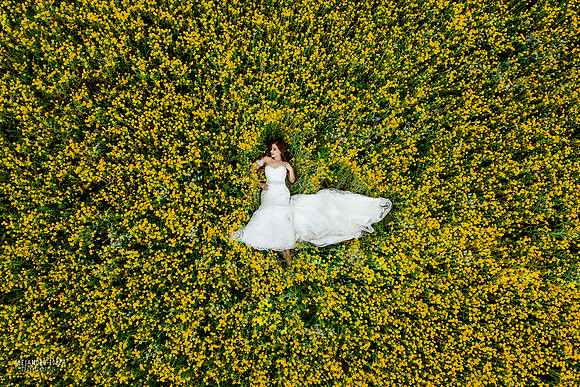 trash the dress