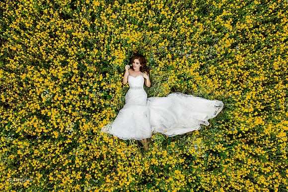 trash the dress