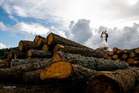 trash the dress