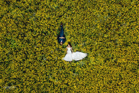 trash the dress