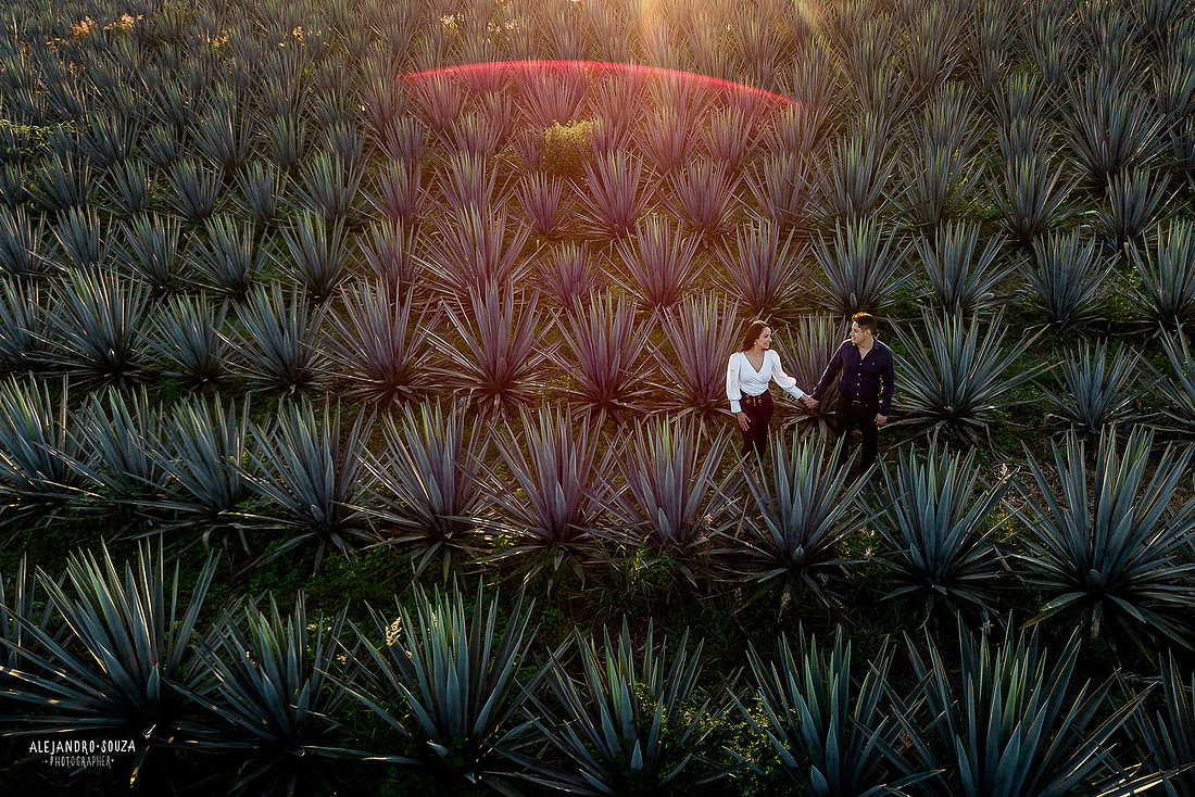 fotógrafo de bodas guadalajara