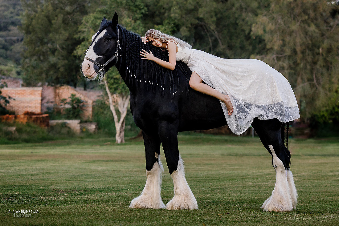 fotografo de bodas