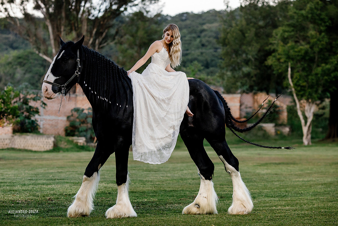 fotografo de bodas