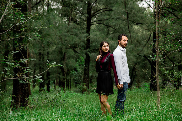 bosque los colomos