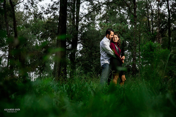 bosque los colomos