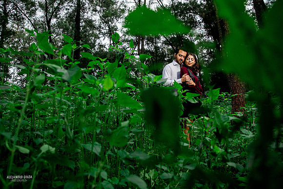 bosque los colomos