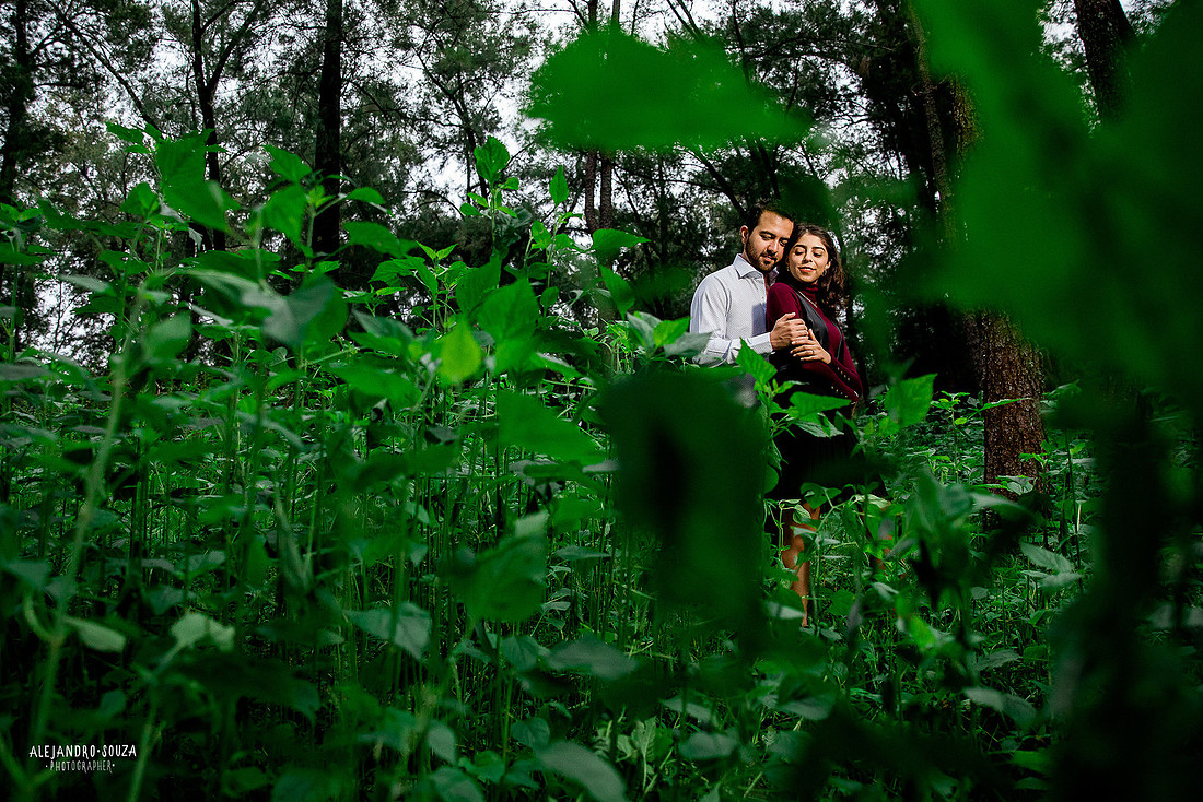 bosque los colomos