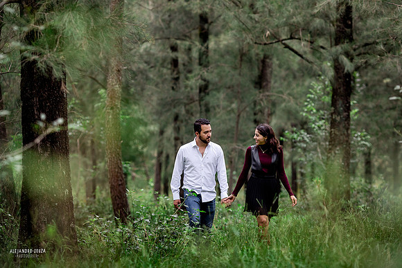 bosque los colomos