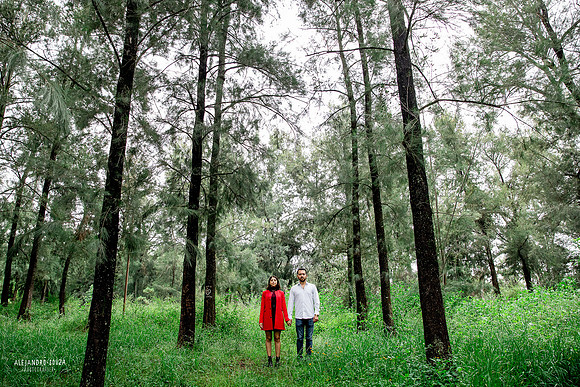 bosque los colomos