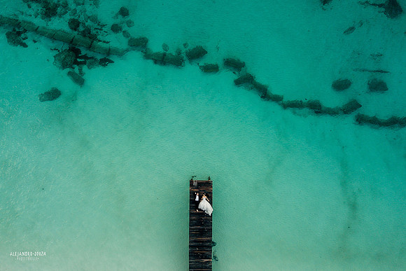 trash the dress