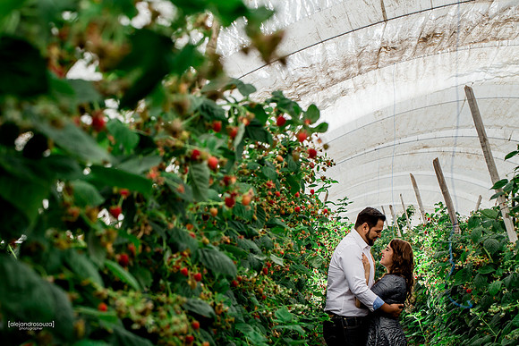 fotografo bodas guadalajara