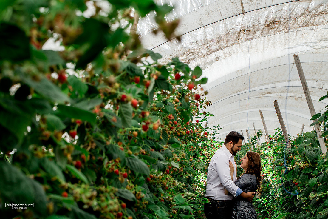 fotografo bodas guadalajara