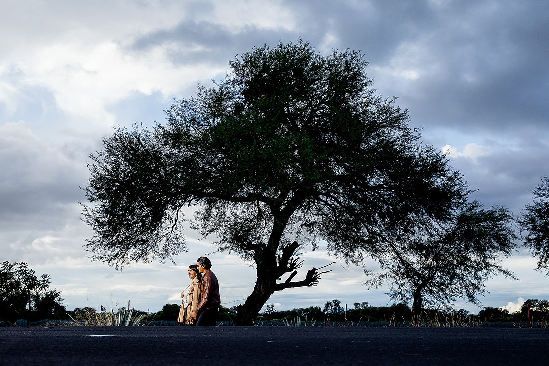 fotógrafo de bodas