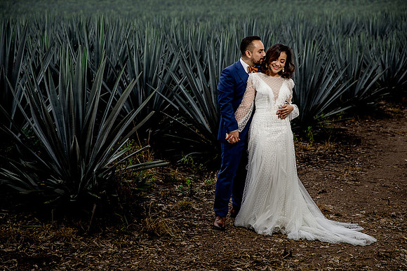 trash the dress