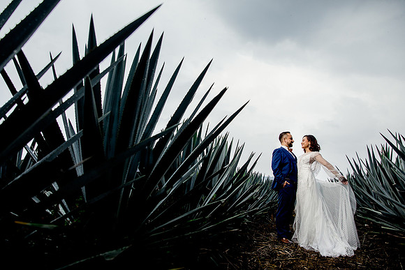 trash the dress