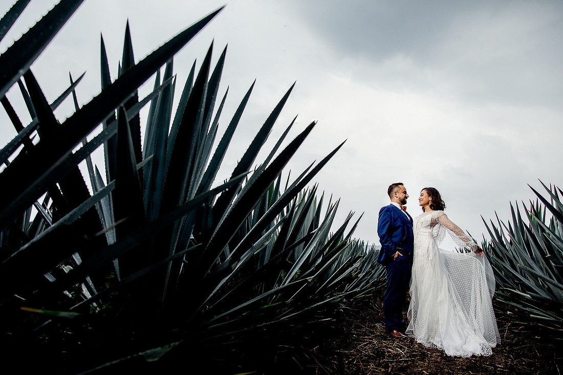 trash the dress