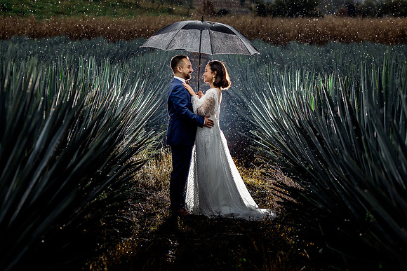 trash the dress