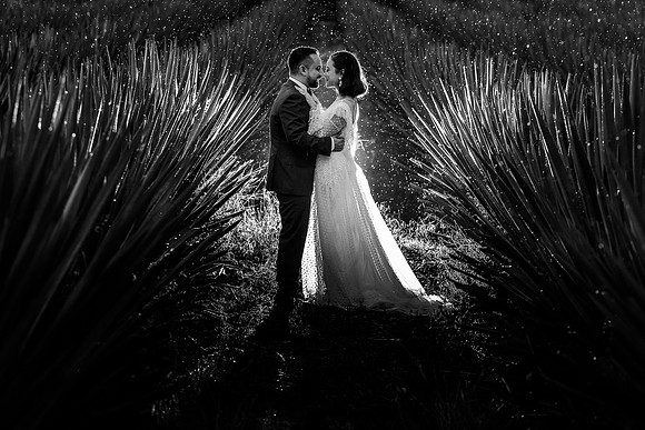trash the dress