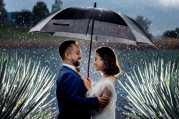 trash the dress