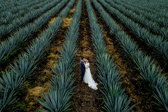 trash the dress