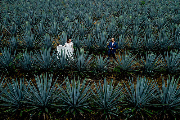 trash the dress