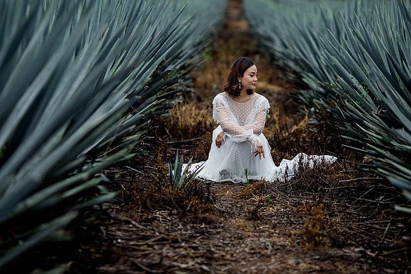 trash the dress