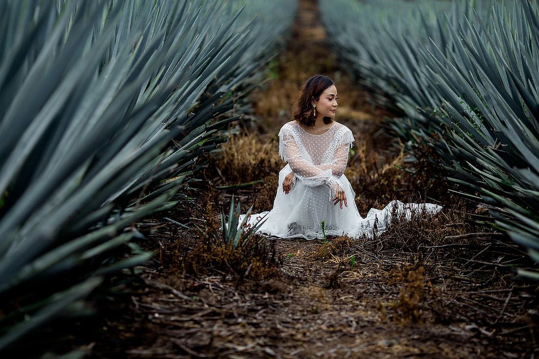 trash the dress