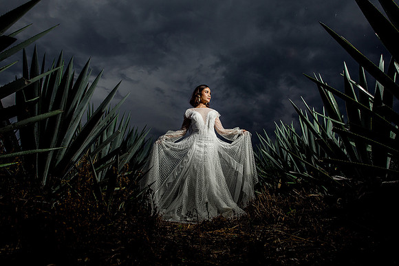 trash the dress