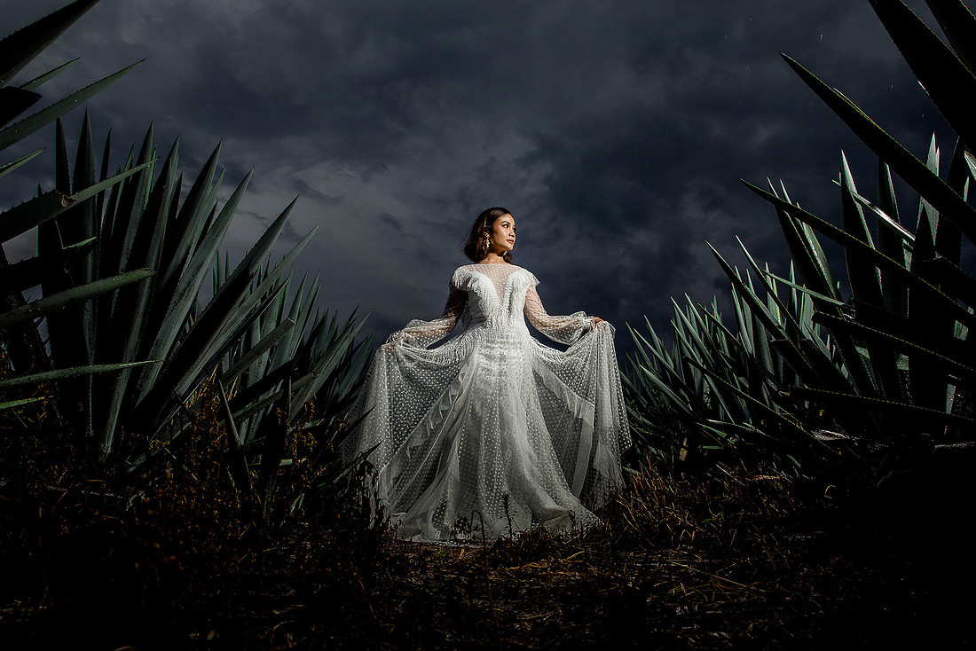 trash the dress