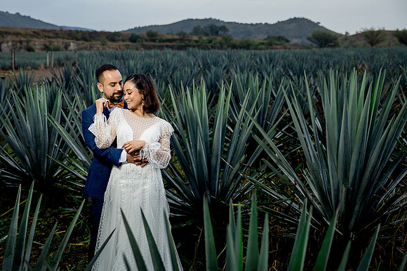 trash the dress