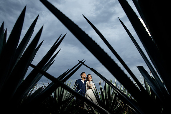 trash the dress