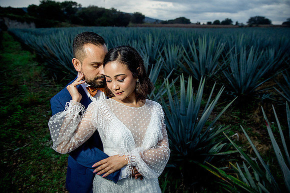 trash the dress